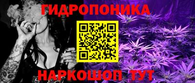сатива Краснокаменск