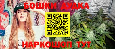 МДПВ Краснознаменск