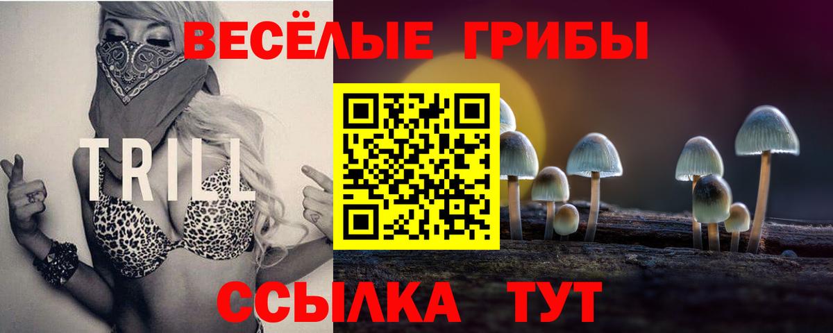 Казань  Псилоцибиновые грибы MAGIC MUSHROOMS  Псилоцибиновые грибы GOLDEN TEACHER  Вход с VPN 